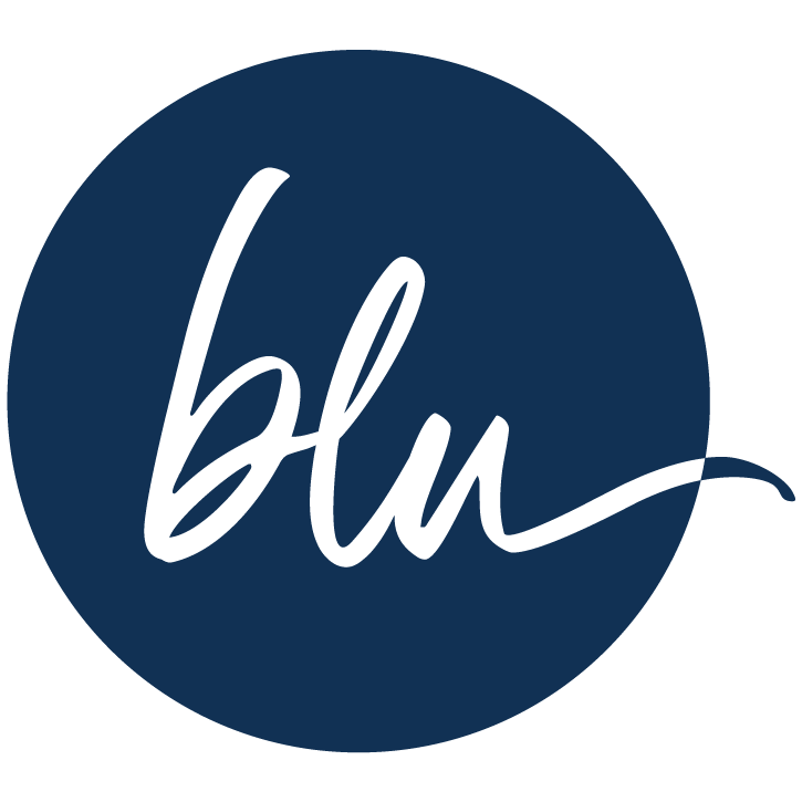 bluSONIL Blue Fill Icon bluSONIL Blue Fill Icon
